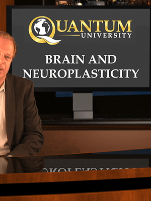 Iquim – Dr. Joe Dispenza – Brain and Neuroplasticity
