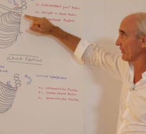 Jean-Pierre Barral – Advanced Visceral Manipulation – Thorax