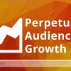 Joe Fier & Matt Wolfe – Perpetual Audience Growth