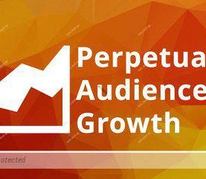 Joe Fier & Matt Wolfe – Perpetual Audience Growth