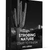 Joel Grimes – Strobing Nature – Start to Finish