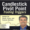 John L.Person – Candlestick & Pivot Point Trading Triggers