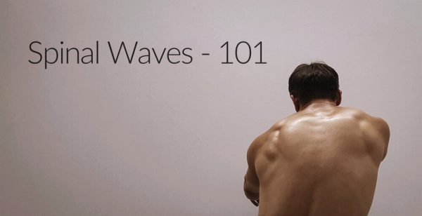 Jon Yuen – Spinal Waves 101