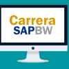 Jose Aldemar Cortes – Carrera SAP BW