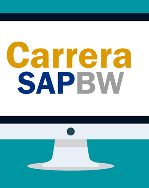 Jose Aldemar Cortes – Carrera SAP BW