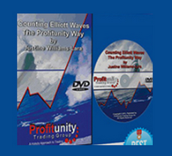 Justine Williams-Lara – Counting Elliott Waves. The Profitunity Way DVD (with Russian subtitles)