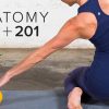 Karin Gurtner – Anatomy 101 with Tom Myers + Anatomy 201