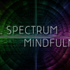 Ken Wilber – Full Spectrum Mindfullness 2019