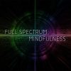 Ken Wilber – Full Spectrum Mindfulness Core Concepts