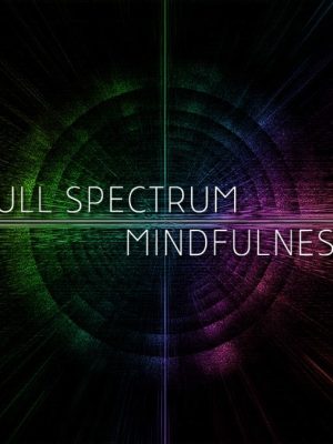 Ken Wilber – Full Spectrum Mindfulness Core Concepts