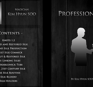 Kim Hyun Soo – Professional 2