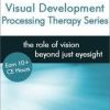 Leonard J. Press – Visual Development Processing Therapy Series