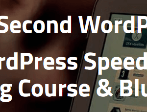 Lifetime Access to One Second WordPress – One Second WordPress