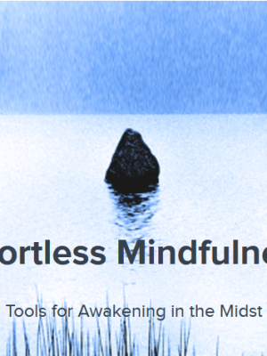 Loch Kelly – Effortless Mindfulness
