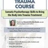 Manuela Mischke-Reeds – 2-Day Trauma Course – Somatic Psychotherapy Skills to Bring the Body into Trauma Treatment