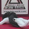 Marcello Monteiro – BJJ Curriculum Blue to Purple Level 2