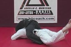 Marcello Monteiro – BJJ Curriculum Blue to Purple Level 2