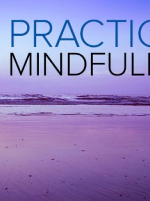 Mark Muesse – Practicing Mindfulness: An Introduction to Meditation