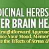 Mary Bov – Medicinal Herbs for Better Brain Health
