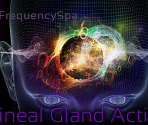 Mas Sajady – Pineal Gland Activation