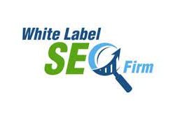 Matt Boley – White Label SEO Firm