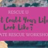 Megan Dixon – Affiliate Rescue Workshop