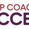 Michelle Schubnel – Group Coaching Success Bootcamp 2018 + Webinar Bonus