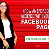 Moolah Facebook Page Strategies course