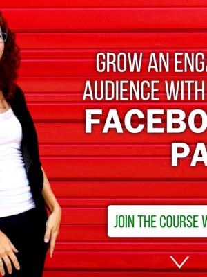 Moolah Facebook Page Strategies course