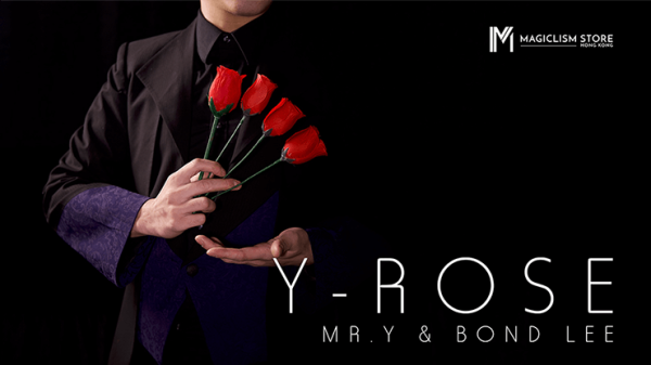 Mr. Y & Bond Lee – Y-Rose