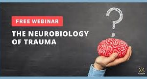 NICABM – The Neurobiology of Trauma