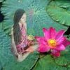 Naima Woodson – Chakra Challenge – 7 Days to Balance Beauty Bliss
