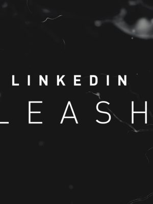 Natasha Vilaseca  – LinkedIn Unleashed