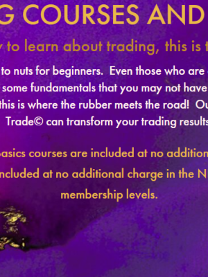 Ninja Options Warrior – TRADING BASICS