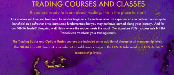 Ninja Options Warrior – TRADING BASICS