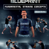 Owen Roddy – Coach Roddy’s Blueprint