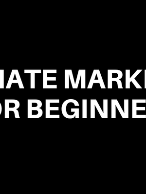 Paolo Beringuel – Affiliate Marketing for Beginners