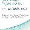 Pat Ogden – Sensorimotor Psychotherapy with Pat Ogden