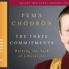Pema Chödrön – The Three Commitments