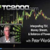 Peter Worden – Interpreting MoneyStream