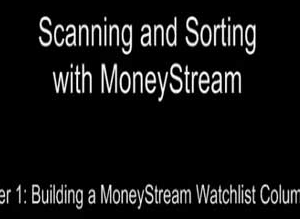 Peter Worden – Scanning & Sorting with Money Stream