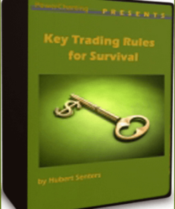 Power Charting – Key Trading Rules For Survival Video