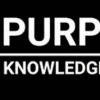 Purple Knowledge Lab (James Elswyk) – New Money Day And Taboola Day