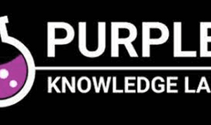 Purple Knowledge Lab (James Elswyk) – New Money Day And Taboola Day