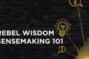 Rebel Wisdom – Sensemaking 101