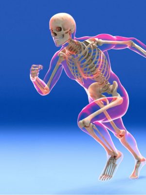 Rebuild Your Body 2016 – Skeletal System