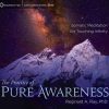 Reginald A. Ray – The Practice of Pure Awareness