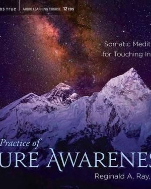 Reginald A. Ray – The Practice of Pure Awareness