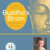 Rick Hanson – Buddha’s Brain