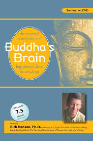 Rick Hanson – Buddha’s Brain
